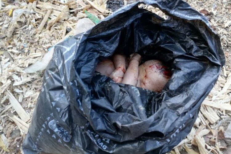 Newborn Baby Girl Found Dead On Refuse Dump