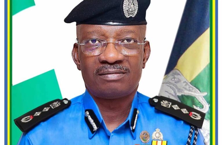 Stop Reporting Police Misconduct On Social Media, IG Tells Nigerians 