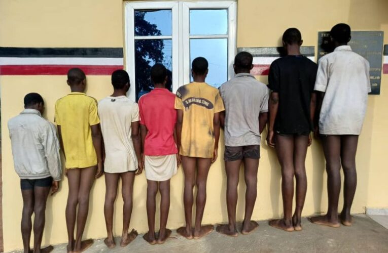 8 Teenagers Arrested For Alleged Gang Rape, Sexual Assault
