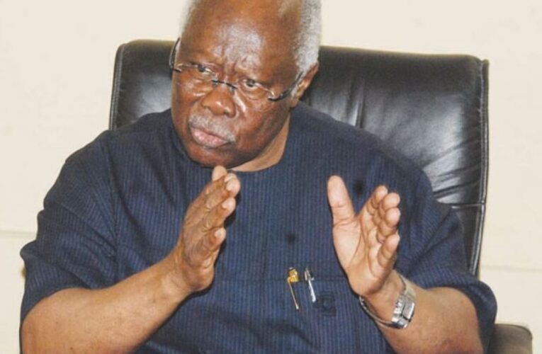 Hardship: Nigerians Waiting To Kick Tinubu Out Of Aso Rock – Bode George