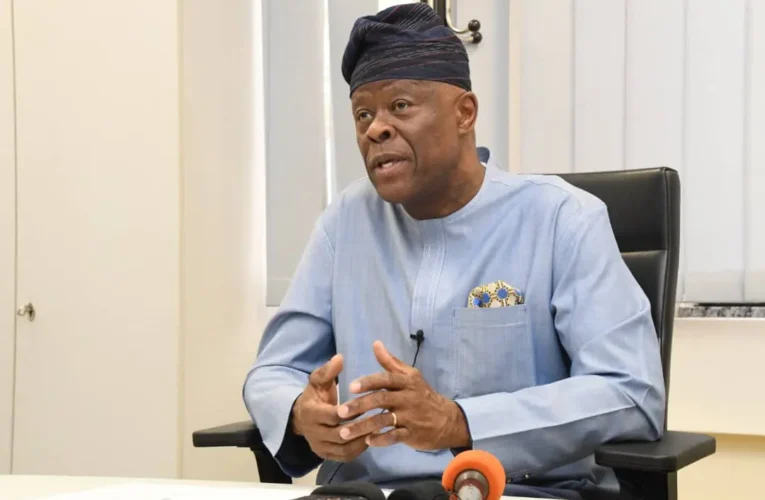 Why Nigerians Are In Pain, Difficulties Amid Tinubu’s Reforms – Edun