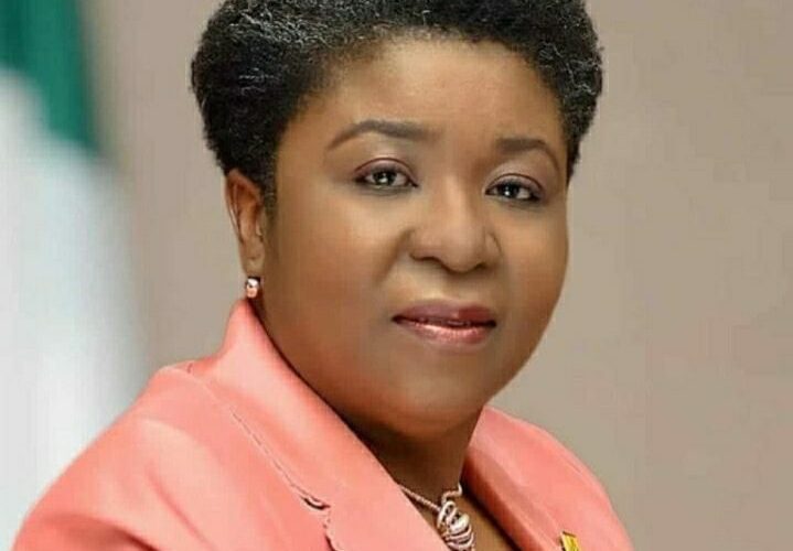 Japa Workers On FG Payroll Resigning Amid Probe – HoCSF