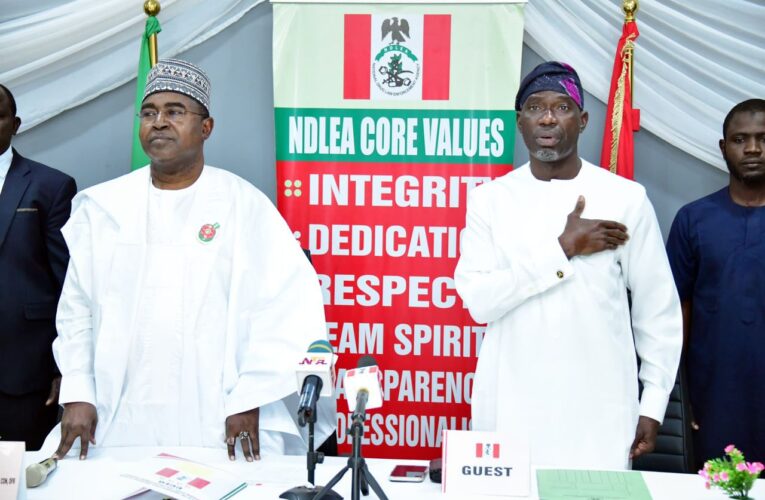 Agboworin-led Committee Vows To Strengthen NDLEA’s Fight Against Drug Trafficking