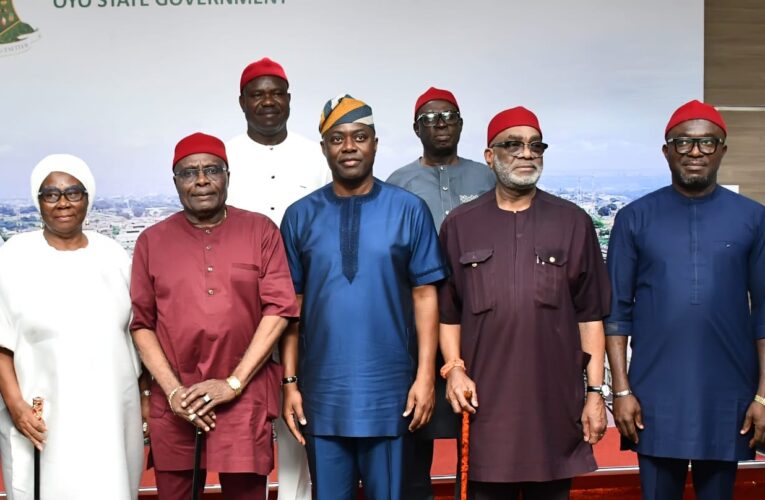 Ibadan stampede deaths: Makinde cancels birthday party
