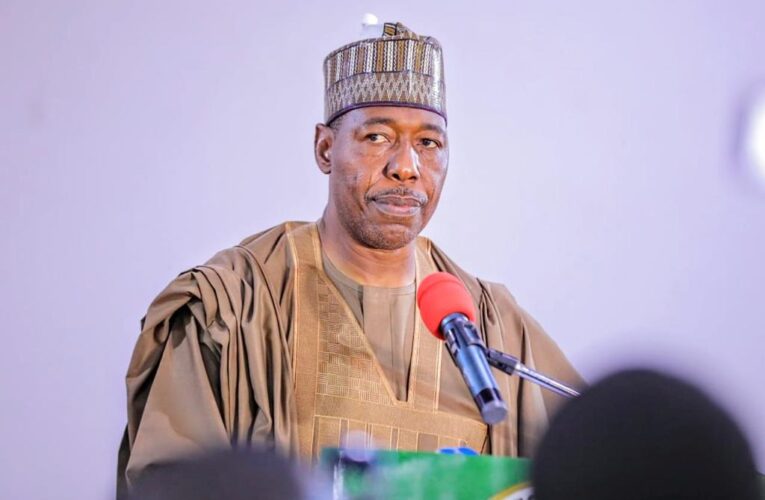 Tinubu’s tax reform bill only favours Lagos – Borno Gov, Zulum