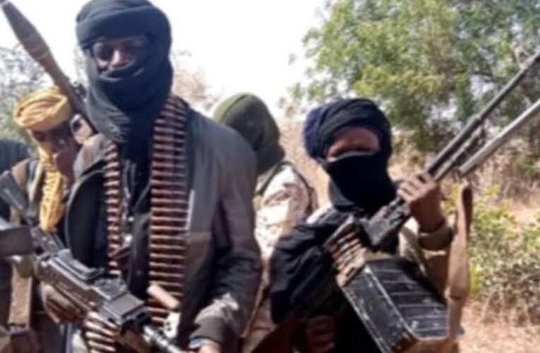 Bandits Slit Throats Of Nine Vigilante Members After Abducting Wives In Sokoto State