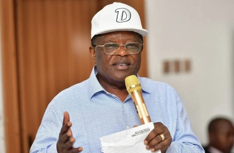 Those Criticizing Tinubu Are Enemies Of Nigeria – Umahi 