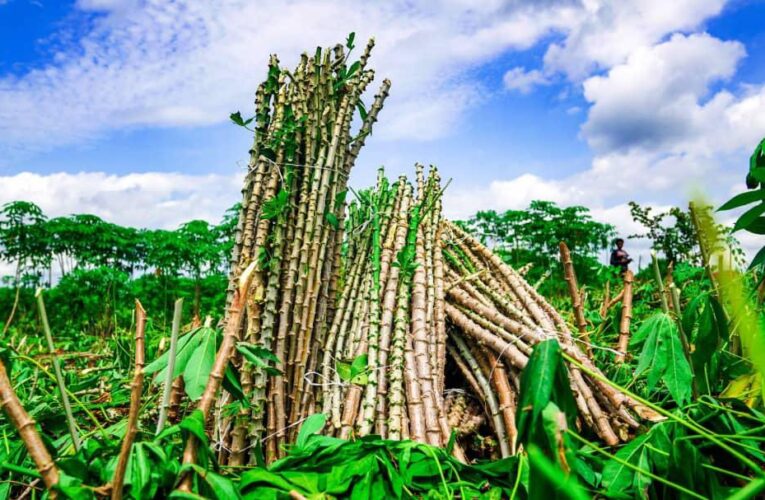 Oluyole LG To Create Farmers/Herders Database As Council Chairman Meets Stakeholders