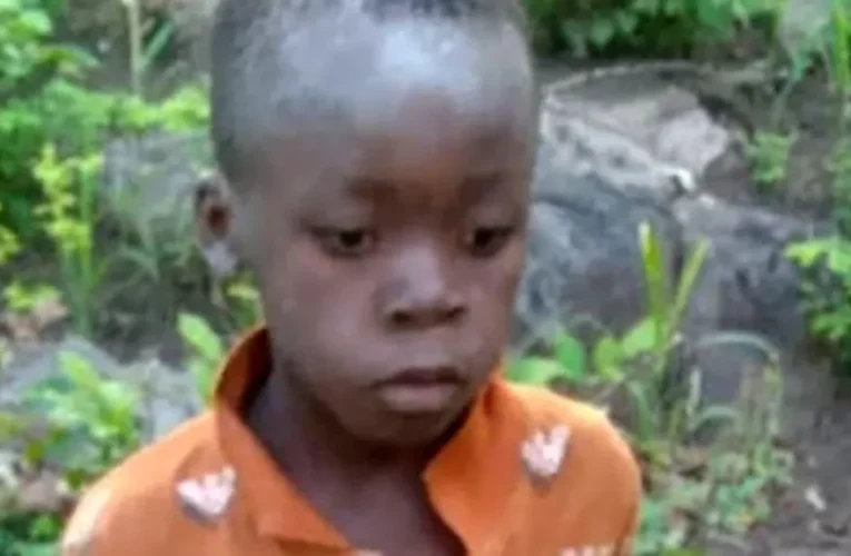 8-Year-Old Boy Survives 5 Days In Lion, Elephant-Inhabited Game Park 