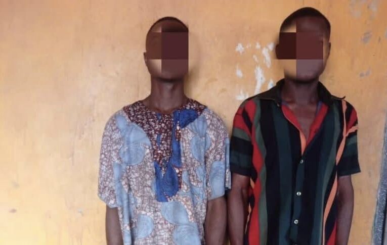 Man Arrested ‘for Stealing Goat’ For Daughter’s Naming In Ogun