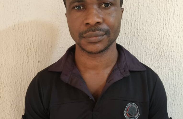 DSS Arrests Blogger Who Posted Fake Recruitment Notice