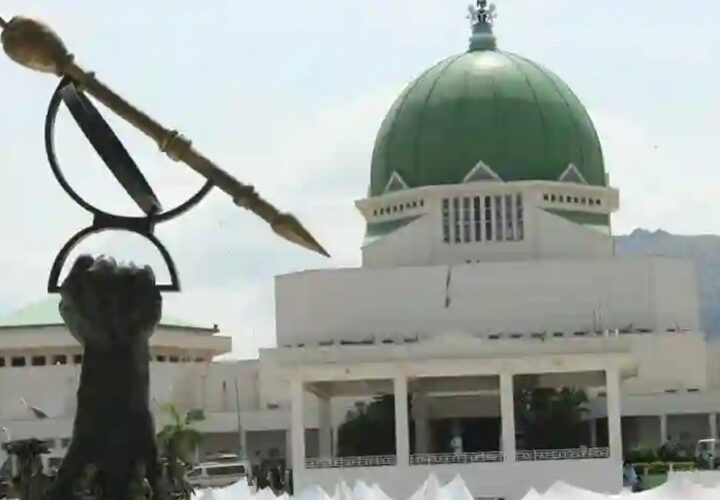 Nigeria Fooling Itself Over Border Closure – National Assembly 