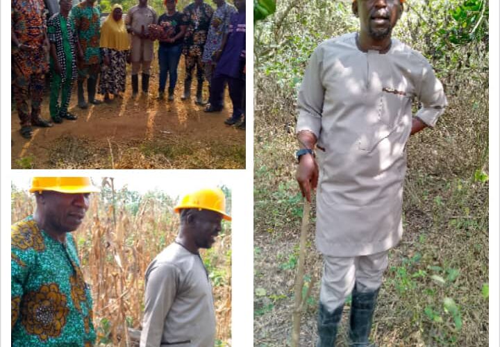 Food Security: Oluyole LG Partners OYSADA, Earmarks 140 Acres Of Land For Farming