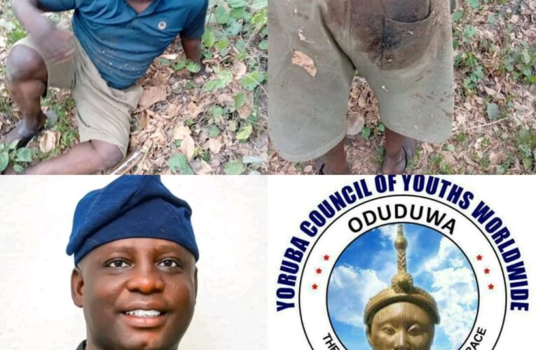SAVE OUR OWN: YCYW Mobilizes Yoruba Leaders Over Kidnapped Afenifere Youth Leader, Prince Ojajuni