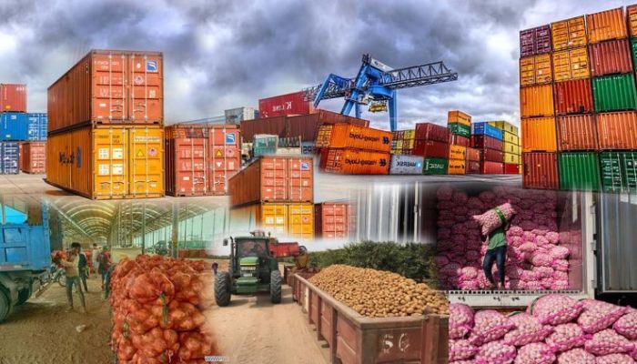 Cocoa, Fertiliser Lead Nigeria’s Non-Oil Exports With $5.46 Billion Shipment