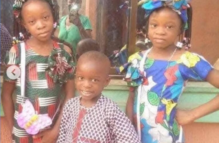 Three Children Murdered, Stored Inside Freezer