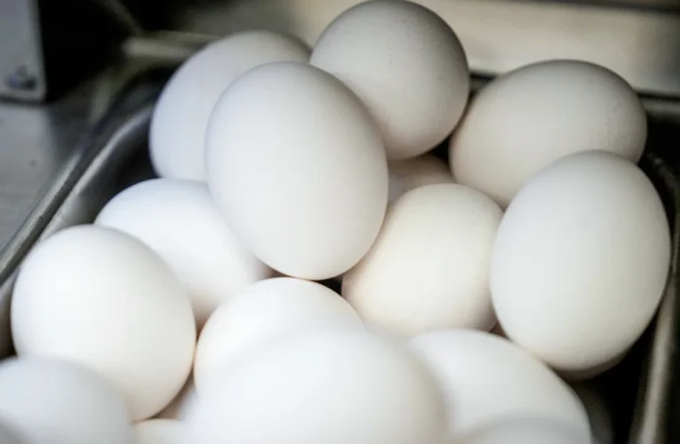 About 100,000 Eggs Worth $40,000 Stolen From Trailer In Pennsylvania