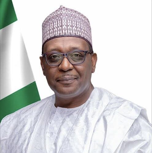 US, UK Patients Now Seek Medical Care In Nigeria – Minister Of Health, Pate