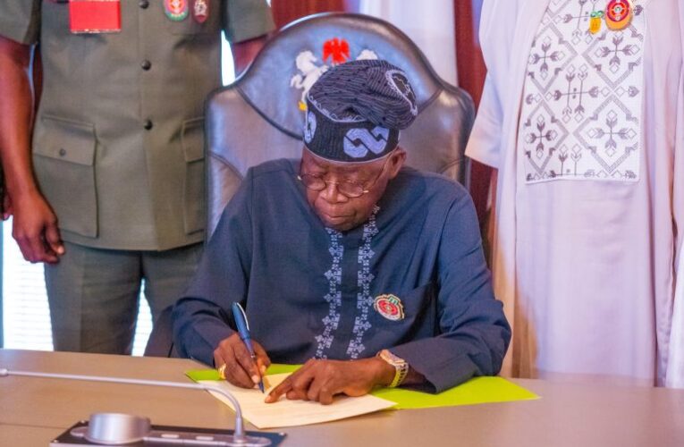 President Tinubu Sacks Adamawa INEC REC, Others 