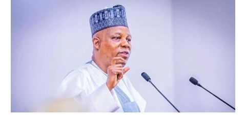 13 US Patients Undergo Kidney Transplants In Nigeria — Shettima