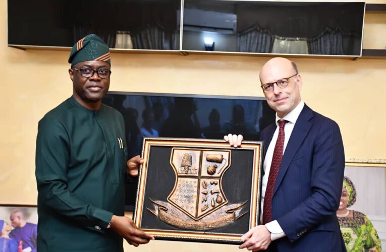 Greenhouse: Oyo Govt, Netherlands to collaborate on tomato production