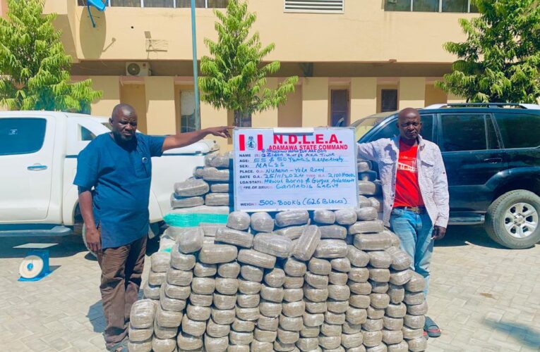 Four Drug Kingpins Bag 95 Years In Jail, Forfeit Vehicles And Others 