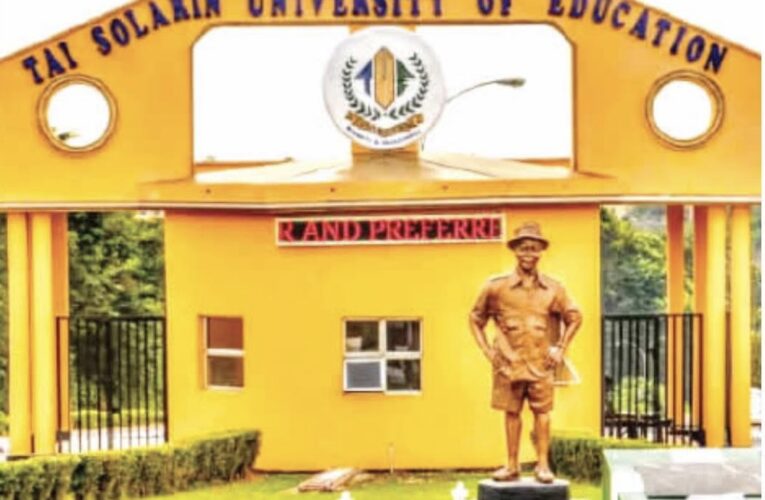 Tinubu Converts TASUED To Federal University