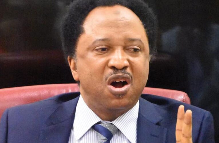 Fubara: The Ultimate Goal Is Impeachment, Not Peace – Shehu Sani 