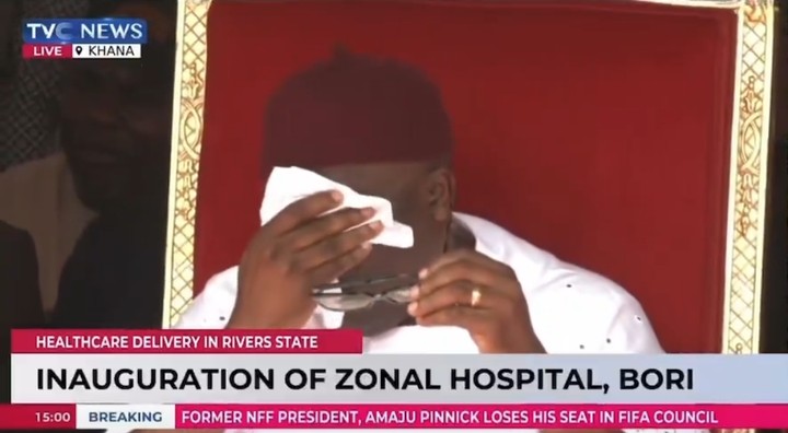 Governor Fubara Moved To Tears By Portrait Made From 2,000 Nails (Video)