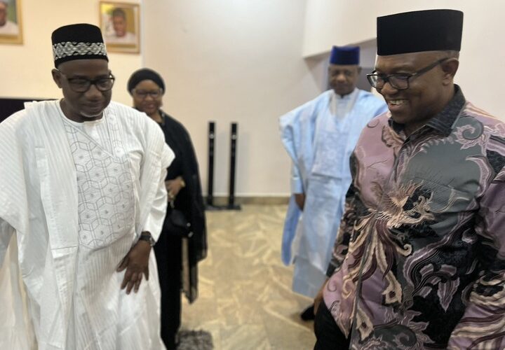 BREAKING: Details of Closed-Door Meeting Between Peter Obi and Bauchi Governor Emerge