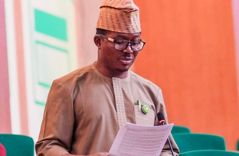 Again, SMATO sponsors bill for establishment of Nigerian Institute of Cashew Research in Eesade Ogbomoso