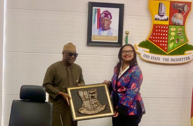 We’ll partner with US on investments, education, others – Makinde