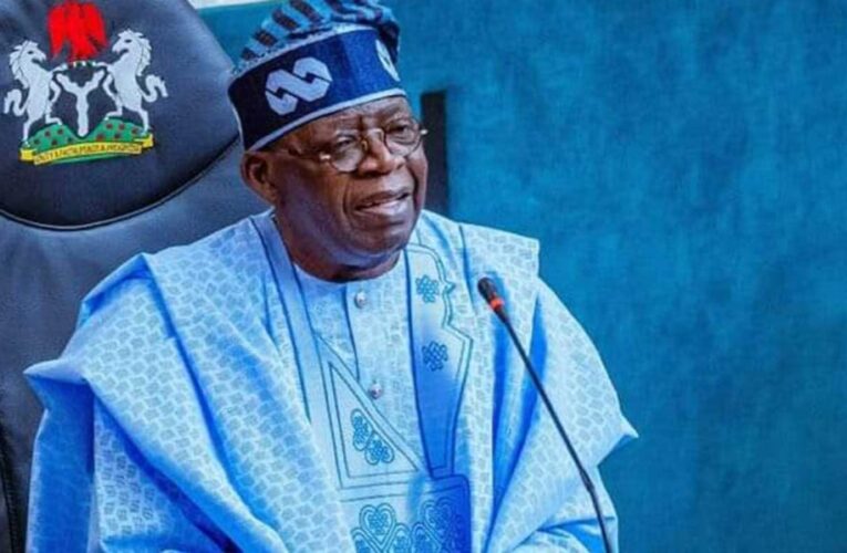 Only Bad Politics Can Produce A Tinubu For Nigeria – Adebayo