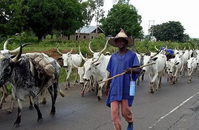 Fulani herdsmen given 48-hour ultimatum to vacate Benue community