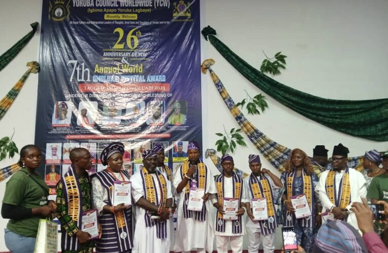 BREAKING: Asoju Odo Alawode Appointed YCYW National Coordinator