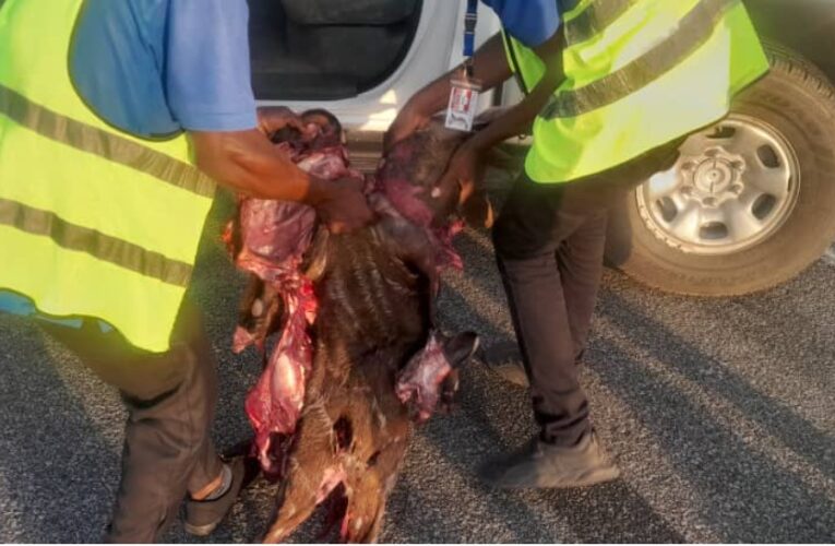Flights disrupted as Air Peace plane kills antelope at Asaba airport 