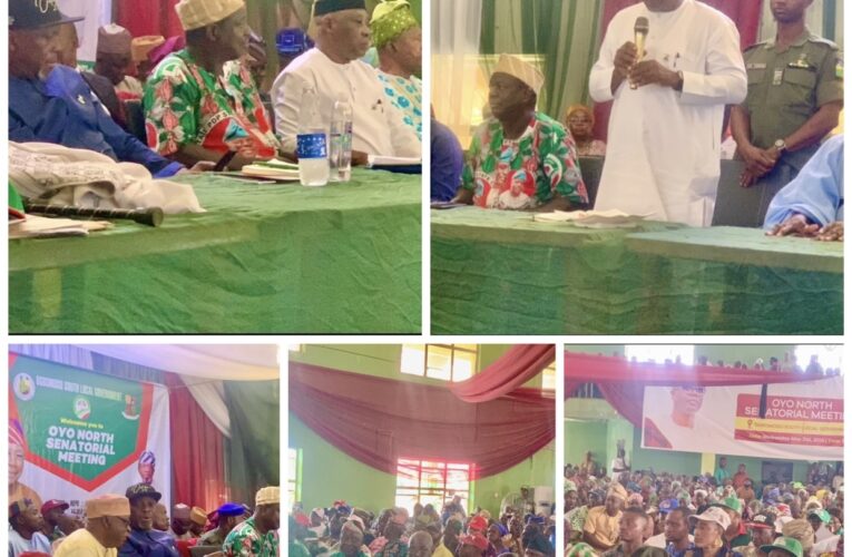 PHOTOS: Oyo North PDP Senatorial meeting attracts massive turnout
