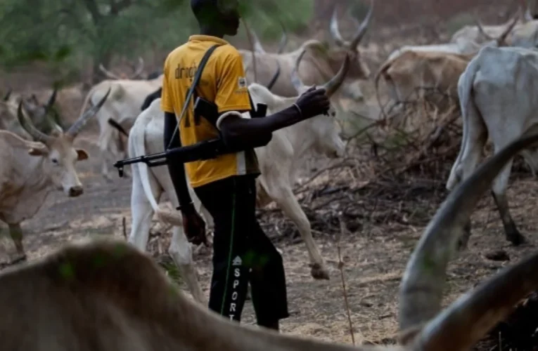 BREAKING: Scores feared dead as suspected herdsmen launch fresh attack on Naka, Benue
