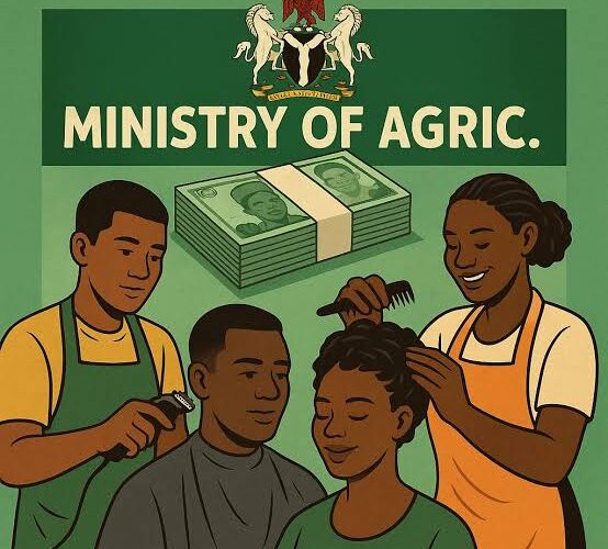 FG Allocates N785m To Barbers, Hairdressers In 2025 Agric Budget