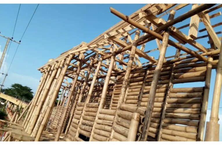 We Will Build Bamboo Houses For Low-income Nigerians — FG