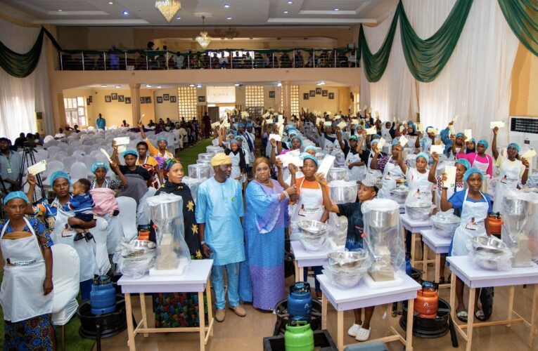 Agboworin’s Two Years Of Impactful Achievements, Trailblazing Representation In 10th National Assembly | Mayowa Okekale