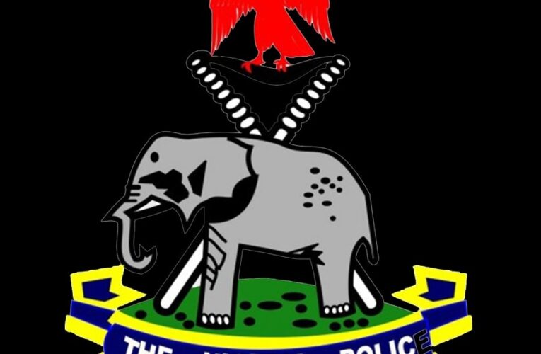 Accidental Discharge: Policeman Shot Dead By 10-Year-Old Son