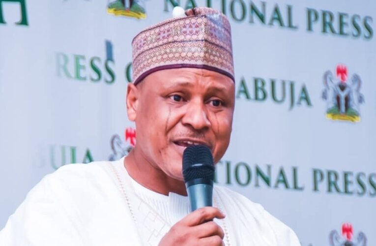 Over 35 Aircraft Procured, 13,500 Terrorists Eliminated Under Tinubu – FG