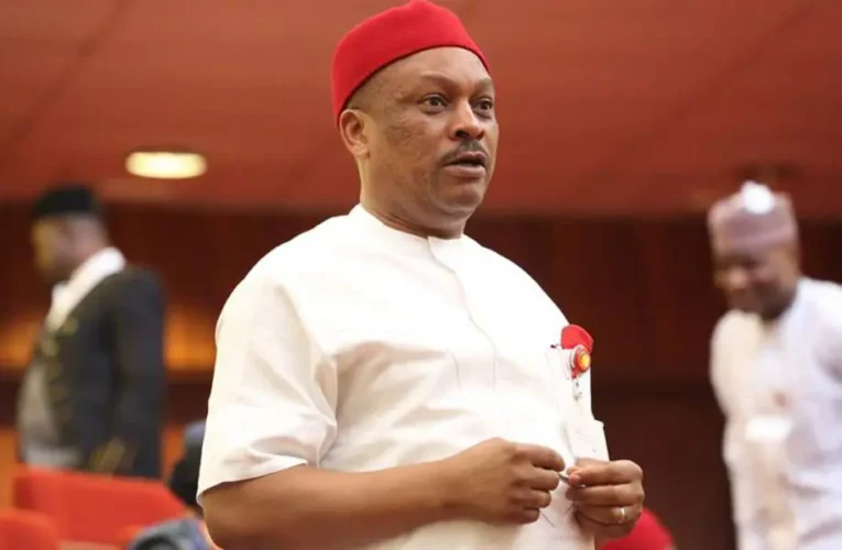 PDP secretary: Staff shut offices, reject Anyanwu’s return