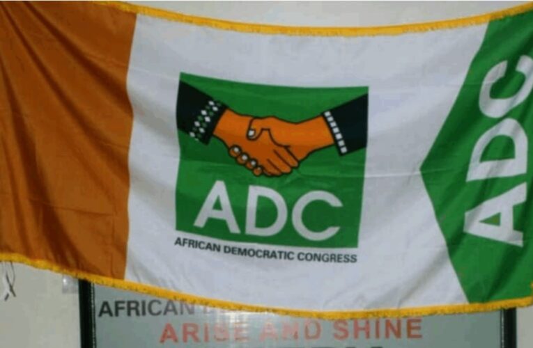 ADC Members File Suit Challenging Legality Of Interim Party Executives