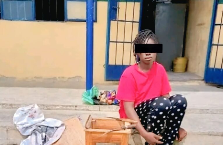Teenager Sentenced To Life Imprisonment Over Murder Of FUTMinna Lecturer