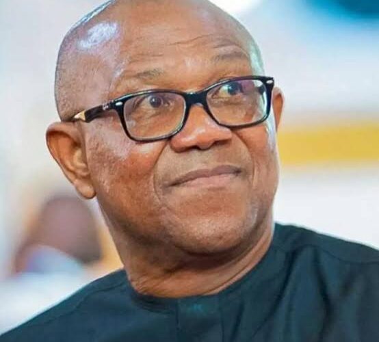 “It May End Your Political Career” – ADC Sends Strong Warning To Peter Obi