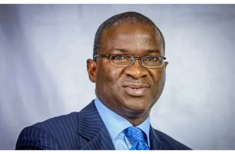 Babatunde Fashola Appointed To RTSL Nigeria Board of Directors