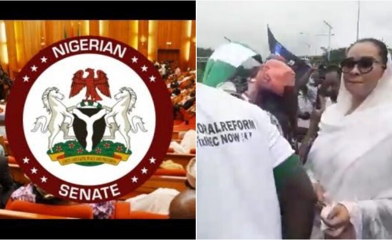 BREAKING: Now a ‘Seasonal Film’ – Senate Breaks Silence on Natasha’s Resumption Attempt