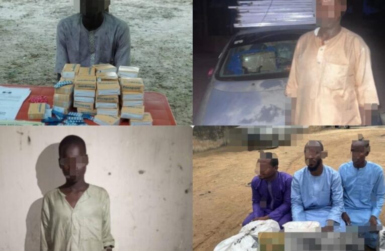 Nigerian Troops Seize Starlink, Other High-Tech Equipment From Terrorists, Arrest Collaborators In Borno, Adamawa